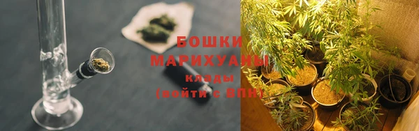 дмт Каменногорск
