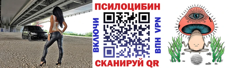Купить  Звенигород  Галлюциногенные грибы Psilocybine cubensis 